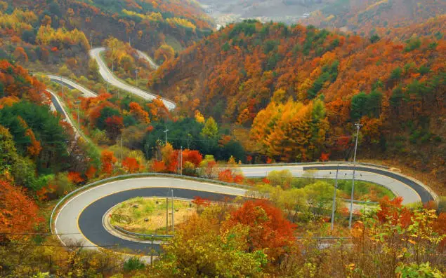 otoño-corea-del-sur