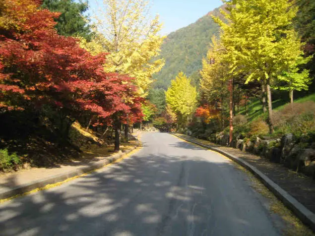 otoño-peninsula-coreana