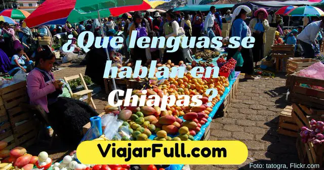 que idiomas se hablan en Chiapas