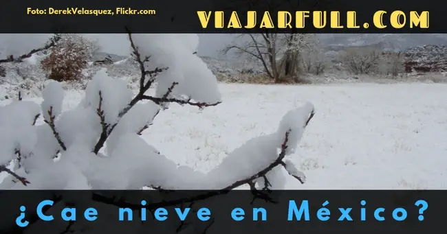 Cae nieve en Mexico