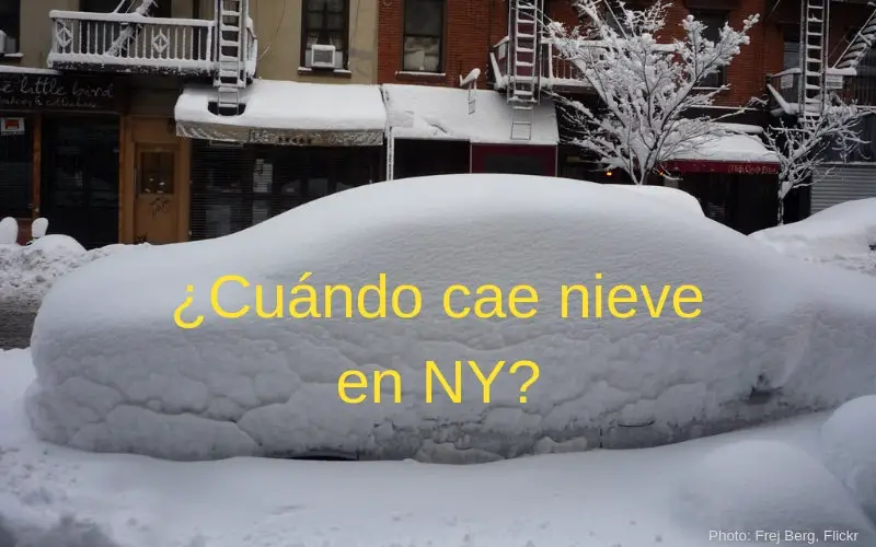 cuando cae nieve en NY New York Nueva York