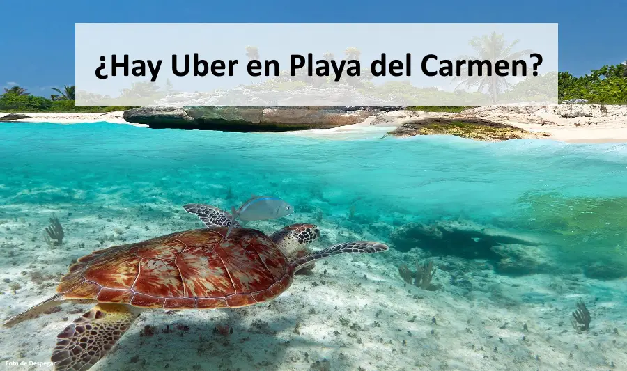 Hay-Uber-en-Playa-del-Carmen