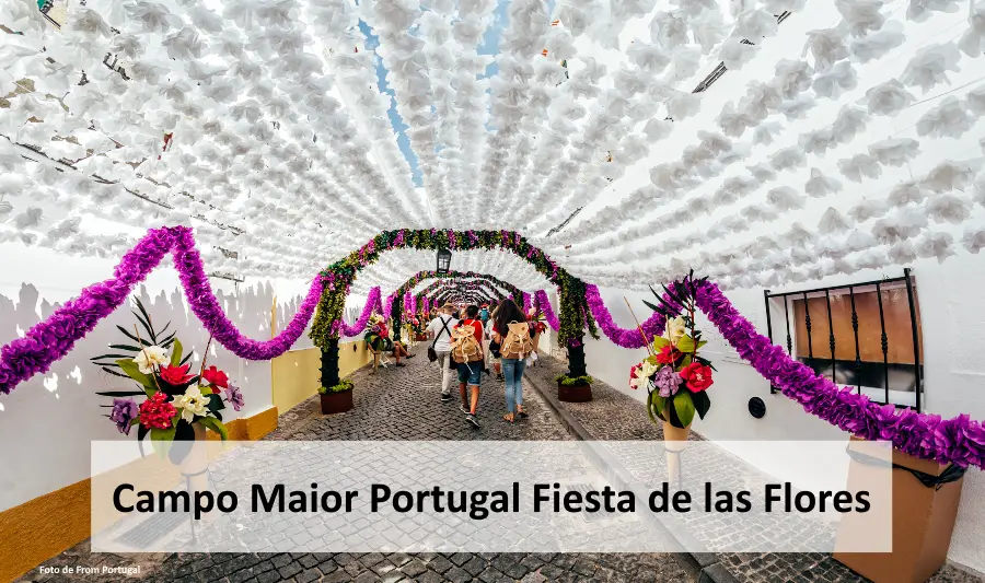 compo-maior-portugal-fiesta-de-las-flores